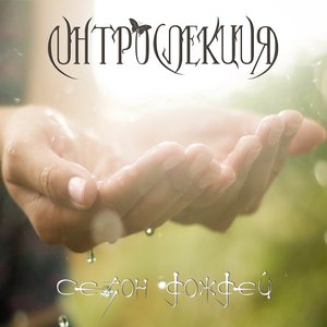 Сезон дождей