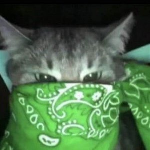 Avatar for frostedvoid