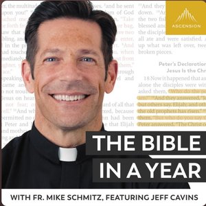 Avatar for The Bible in a Year (with Fr. Mike Schmitz)