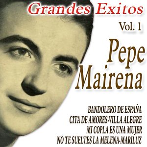 Grandes Exitos Vol.1