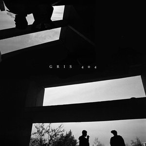 Gris 404