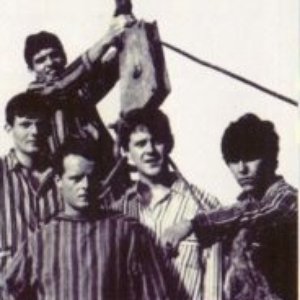 The Sparklings 的头像