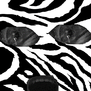 Avatar for geegee