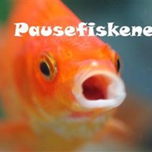 Pausefiskene 的头像