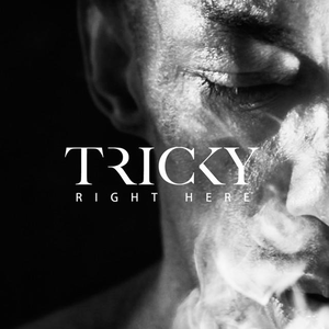 Tricky - Right Here - Zortam Music