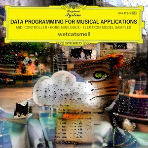 Data Programming for Musical Applications