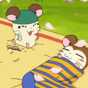 sath4 的头像