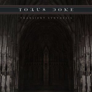 Transient Synthesis