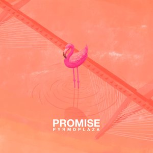 Promise