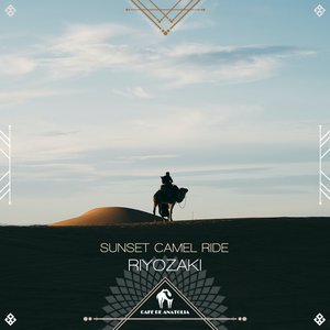 Sunset Camel Ride
