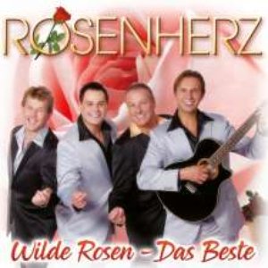 Wilde Rosen