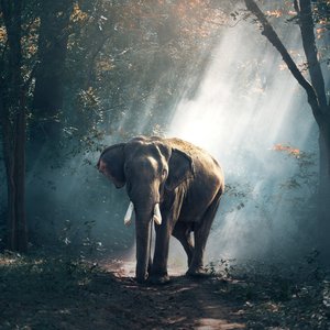 A Friend Of The Earth