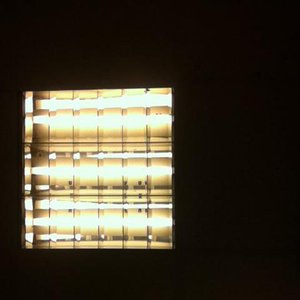 Light Escape 的头像