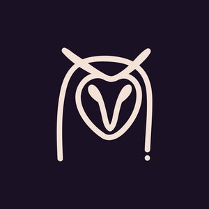 Night Owl Collective 的头像