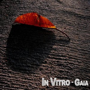 Mixotic 074 - In Vitro - Gaia