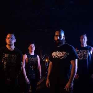 Aversions Crown için avatar