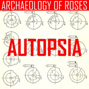 Archaeology Of Roses