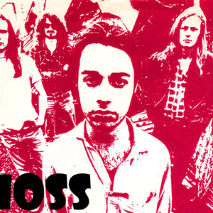 Hoss photo provided by Last.fm