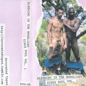Bleeding In The Moonlight Sings Soul Vol. 1