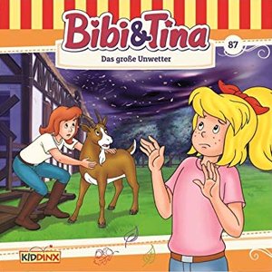 Folge 87: Das gro&szlig;e Unwetter