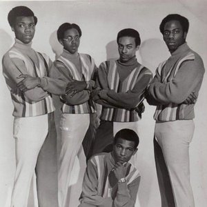 Avatar for Out Of Sights