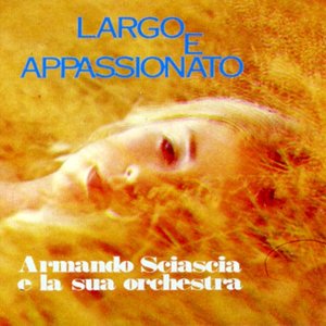 Largo e appassionato - Cool Classics in a Modern Mood