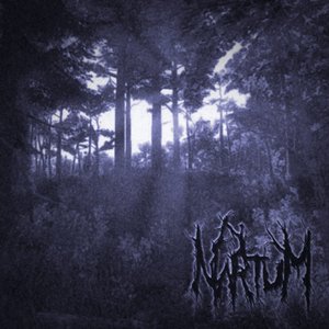 Nartum 的头像