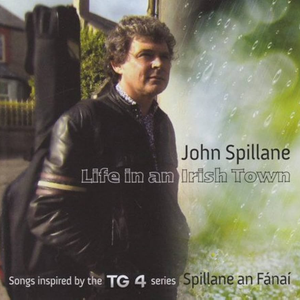 Artwork for Life in an Irish Town
