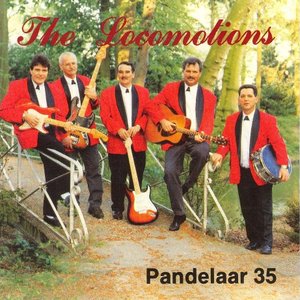 Pandelaar 35