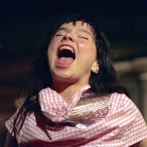 Björk and The Brodsky Quartet 的头像