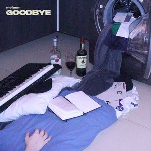 Goodbye - Single