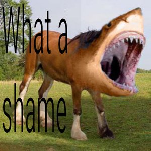 What a Shame 2