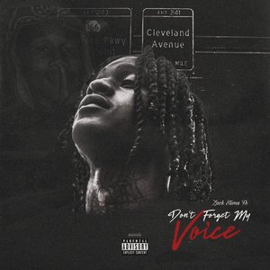 Don’t Forget My Voice