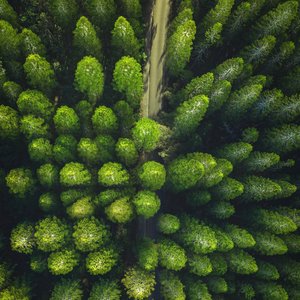 Environment