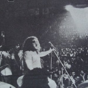 La Pesada del rock and roll 的头像
