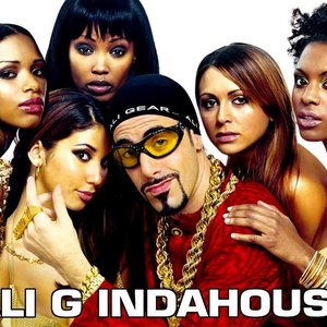 Image pour 'Ali G - In Da House'