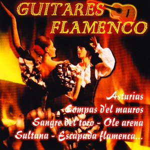 Guitares Flamenco