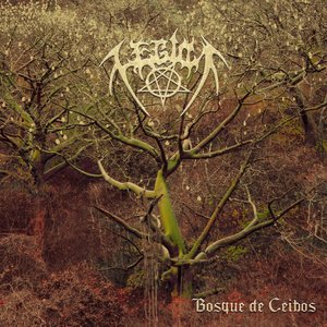 Bosque De Ceibos