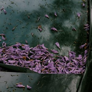 Wake Up With The Sun