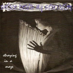 Straying in a maze