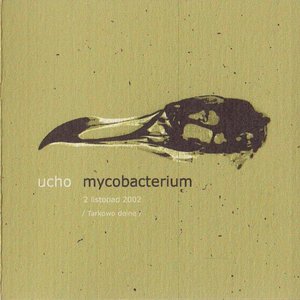 Mycobacterium