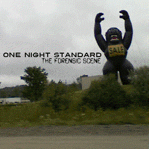 One Night Standard