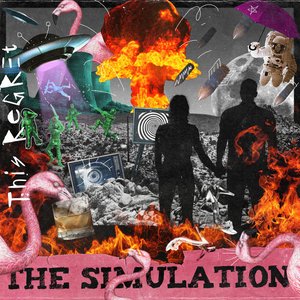 The Simulation