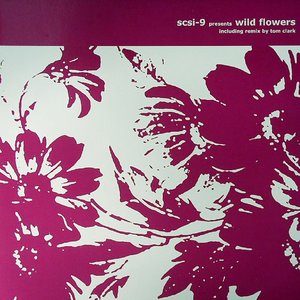 Wild Flowers