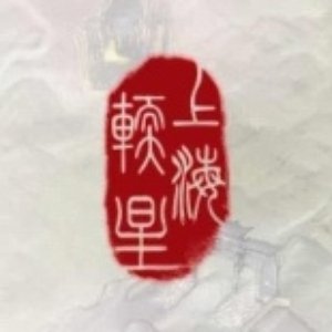 Avatar for 上海软星