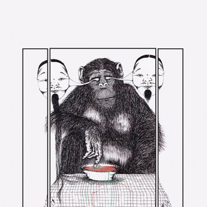 la experiencia 的头像