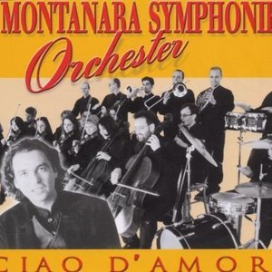 Montanara Symphonie Orchester 的头像