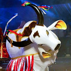 Avatar för Boi Corre Campo