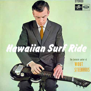 Wout Steenhuis photo provided by Last.fm