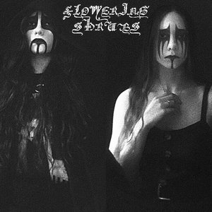 Flowering Shrubs 的头像